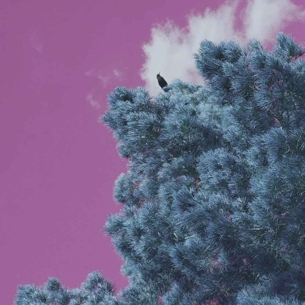 Meet your Posher, 고베